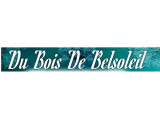 Du Bois De Belsoleil