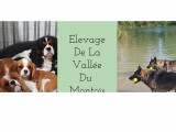 De La Vallée Du Montois