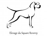 Du Square Reverzy