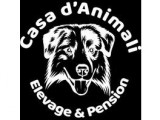 Casa D’Animali