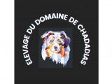 M./Mme 