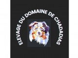 M./Mme 