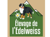 Du Clos D'Edelweis