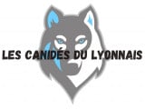 Les Canidés du Lyonnais