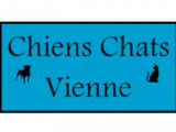 Chiens Chats Vienne