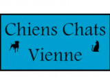 Chiens Chats Vienne