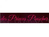 Des Princes Pinscher