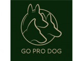Go Pro Dog