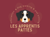 Les Apprentis Pattes