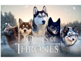 Dog’s Of Thrones