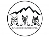 Des Seigneurs de Montbel