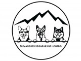Des Seigneurs de Montbel