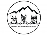 Des Seigneurs de Montbel
