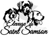 De Saint-Samson