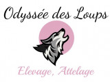 Odyssée Des Loups