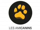 Amicanins