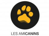 Les Amicanins