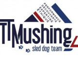 TTMushing Sled Dog Team