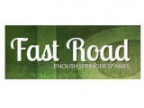 Fast Road