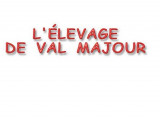 De Val Majour