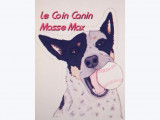 Le Coin Canin