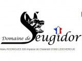 Du Domaine de Seugidor