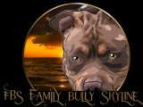 FBS Family Bully Skyline