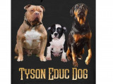 Tyson Educ Dog