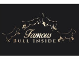 Famous Bull Inside