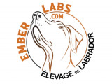 Ember Labs