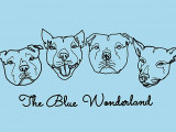 The Blue Wonderland