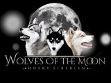 Wolves Of The Moon