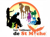 Des Veilleurs De St Michel