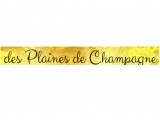 Canine Des Plaines De Champagne