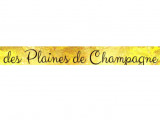 Canine Des Plaines De Champagne