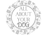 All About Your Dog