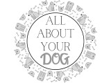 All About Your Dog