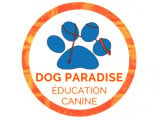 Dog Paradise - Éducation Canine