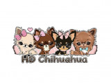 HD Chihuahua