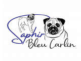 Saphir Bleu Carlin