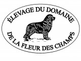 Domaine De La Fleur Des Champs