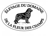 Domaine De La Fleur Des Champs