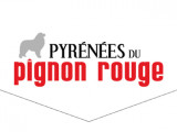Pyrénées du Pignon Rouge