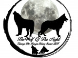 The Wolf Of The Night