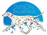 DotsOn Dalmatians
