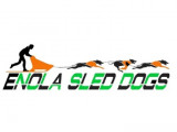 Enola Sled Dogs