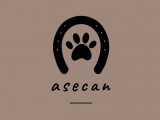 Asecan