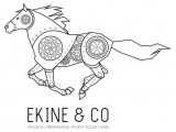 Ekine & Co