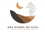 Des Dunes De Gaïa