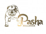 Pasha Bulldogs